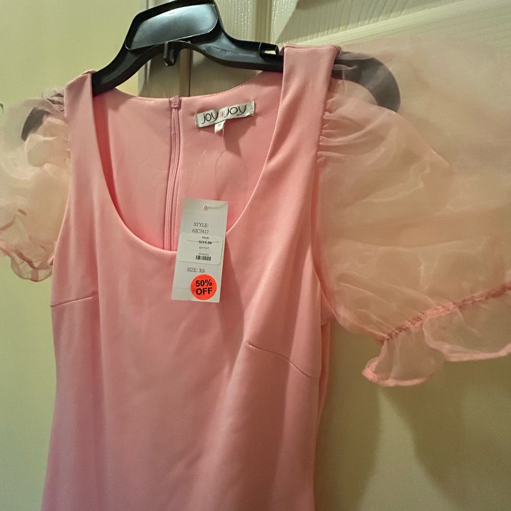 Joy Joy Blush Pink Dress with see through sleeves.